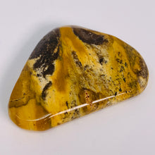 Load image into Gallery viewer, Picture Jasper Flat Tumbled
