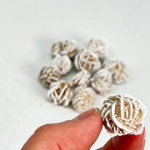 Load image into Gallery viewer, Desert Rose (Small)
