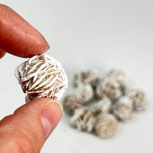 Load image into Gallery viewer, Desert Rose (Small)
