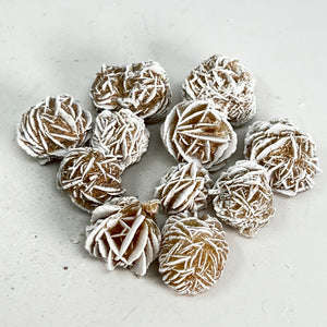 Desert Rose (Small)
