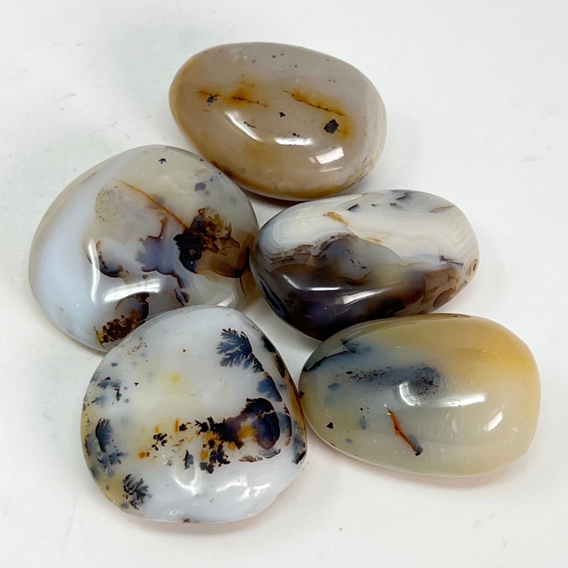 Dendritic Agate Pebble