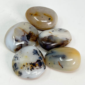Dendritic Agate Pebble