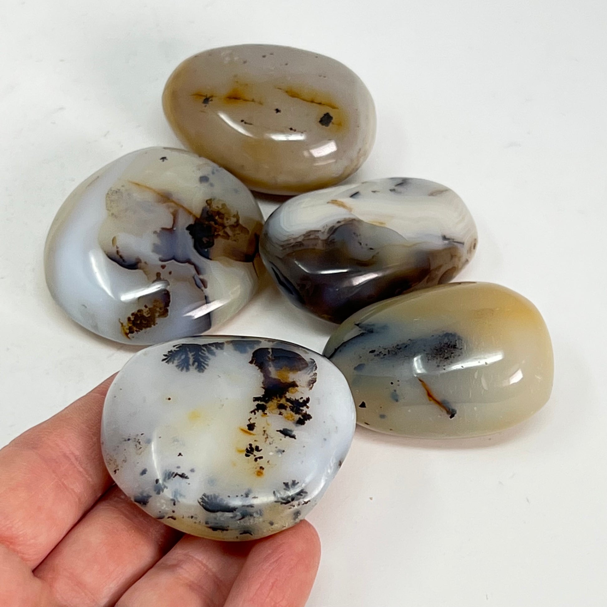 Dendritic Agate Pebble