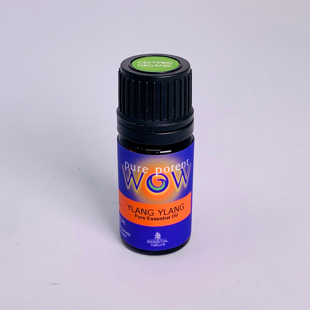 Ylang Ylang Essential Oil