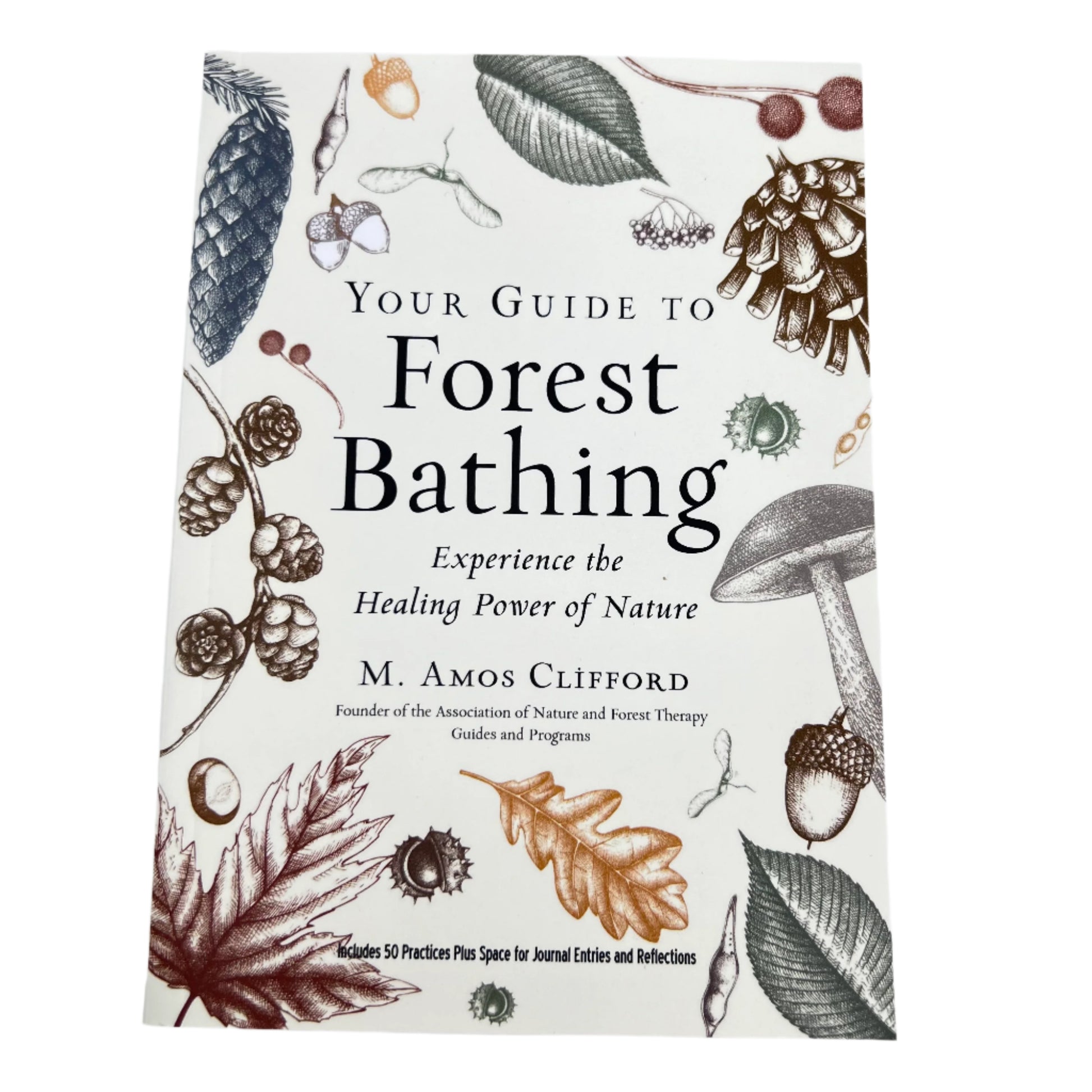 Your Guide to Forest Bathing by M Amos Clifford