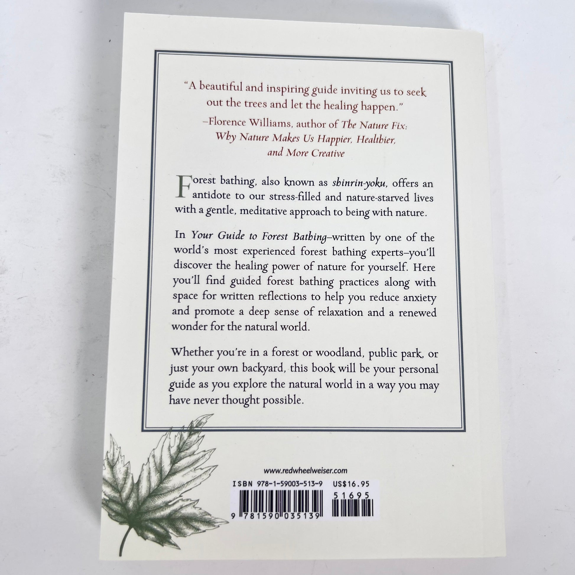 Your Guide to Forest Bathing by M Amos Clifford