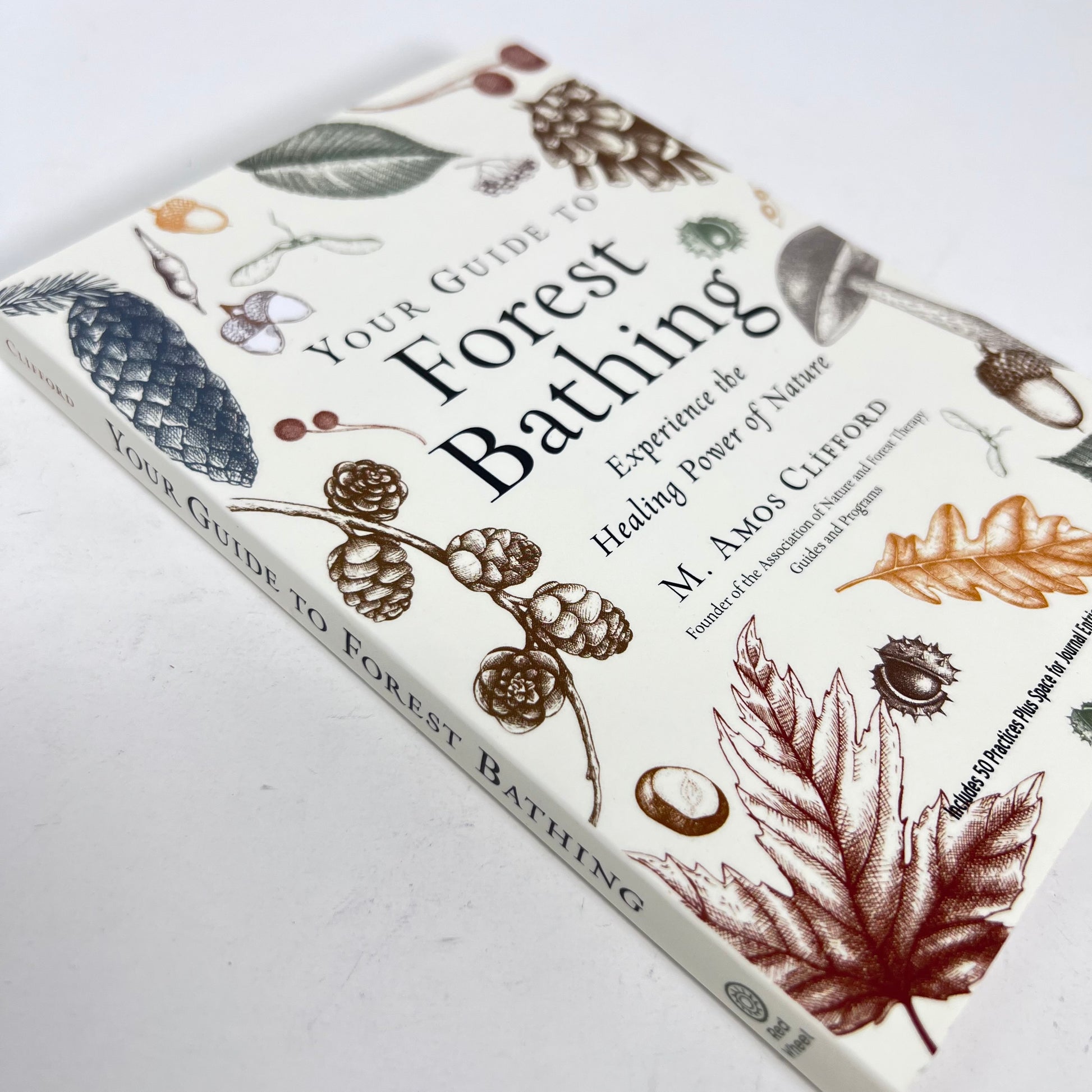 Your Guide to Forest Bathing by M Amos Clifford