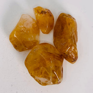 Golden Healer (Azeztulite) - Semi Tumbled