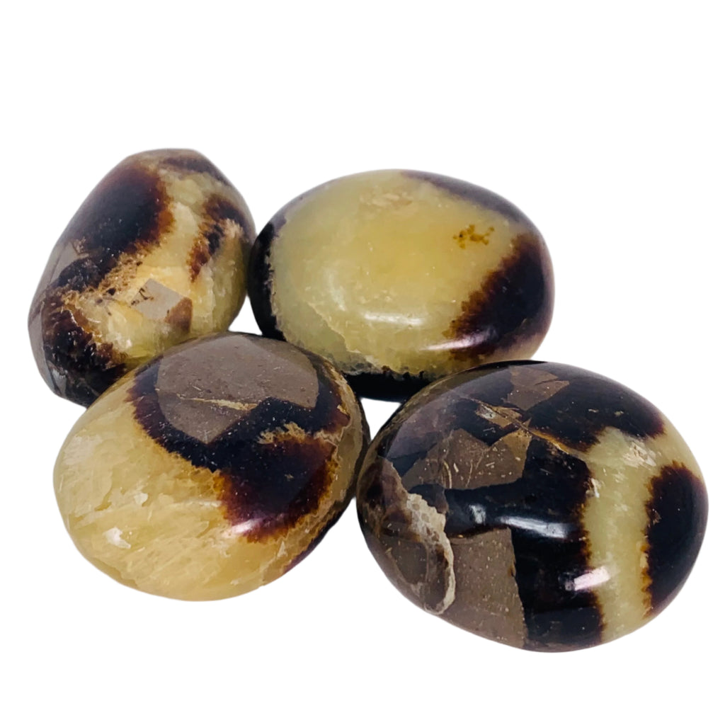 Septarian Large Tumbled/Small Palm Stone
