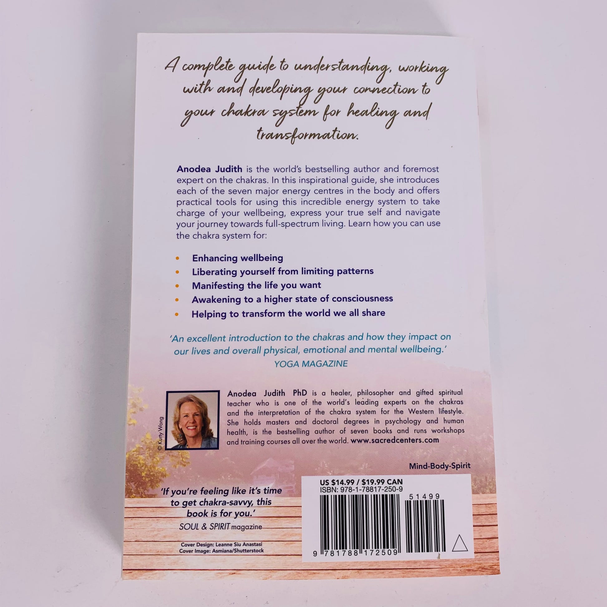 Chakras Made Easy by Anodea Judith