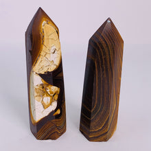 Load image into Gallery viewer, Petrified Wood - Standing Point
