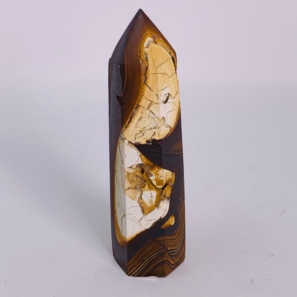 Petrified Wood - Standing Point