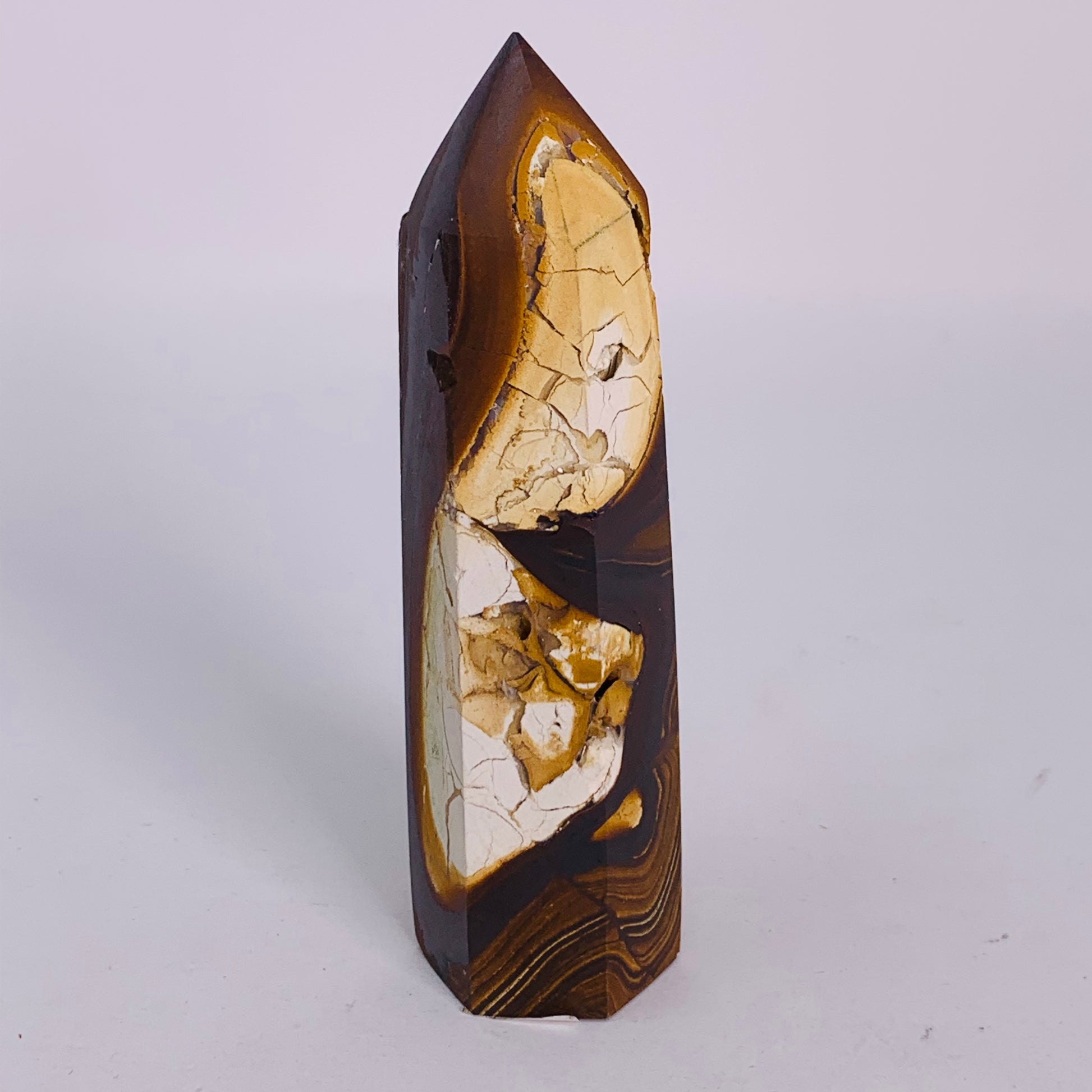 Petrified Wood - Standing Point