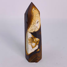Load image into Gallery viewer, Petrified Wood - Standing Point
