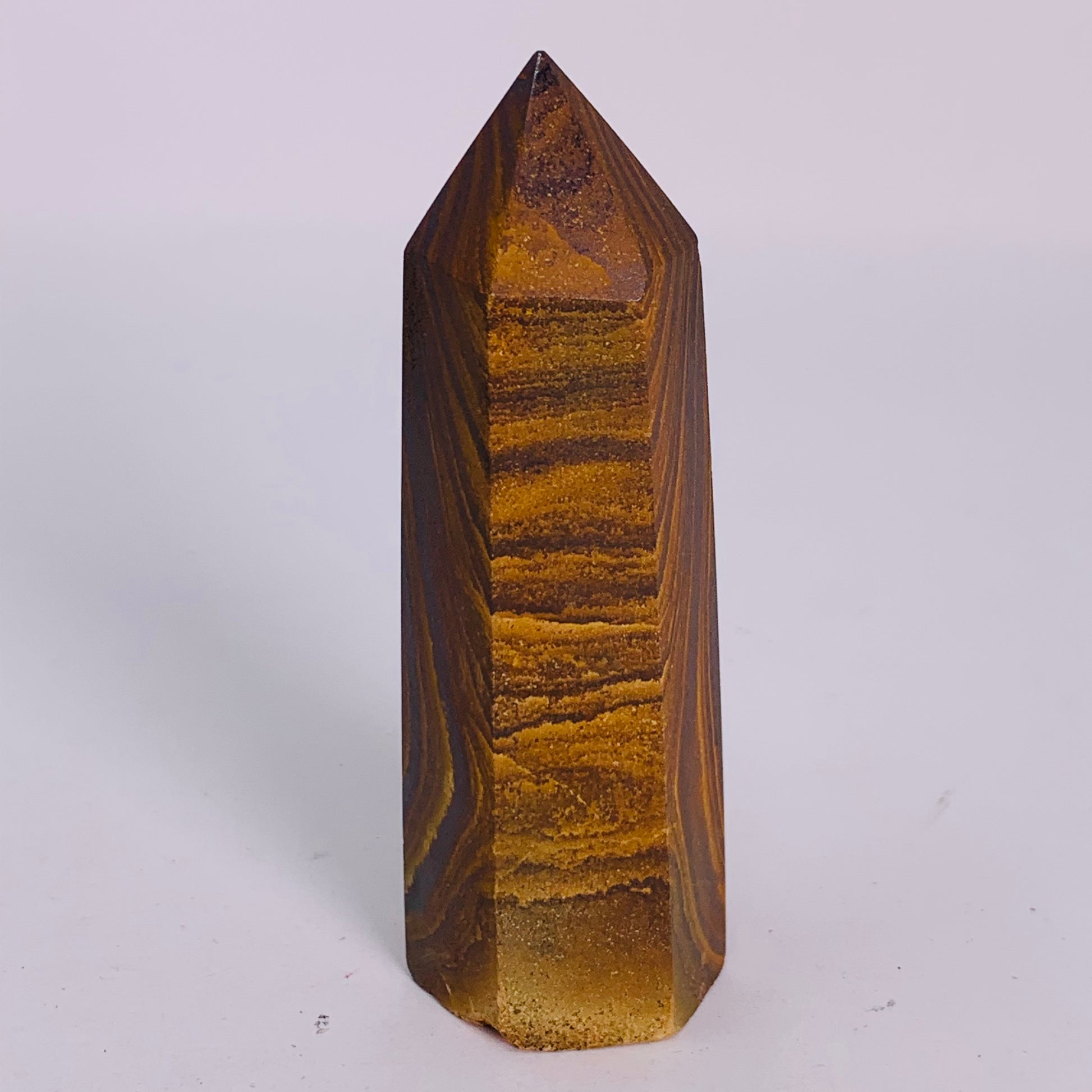 Petrified Wood - Standing Point