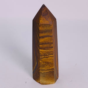 Petrified Wood - Standing Point