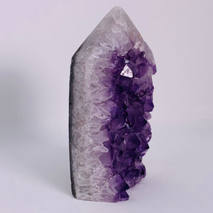 Amethyst Standing Cluster with Point