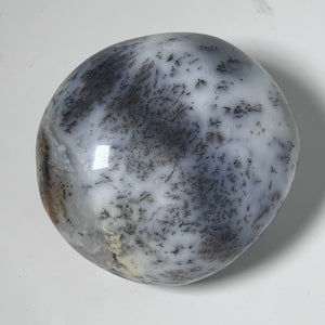 Dendritic Agate Palm Stone