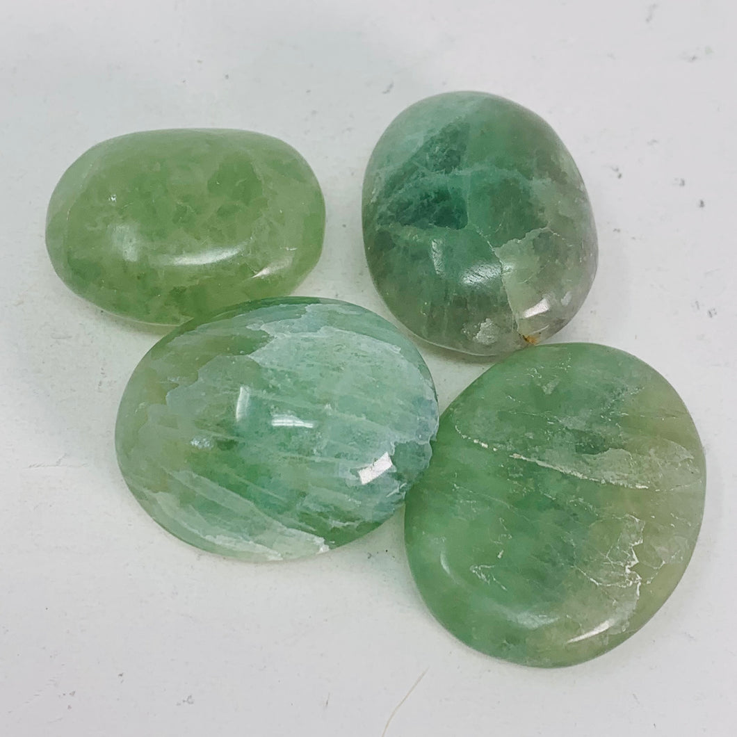 Fluorite (Green) Palm Stone (Small)