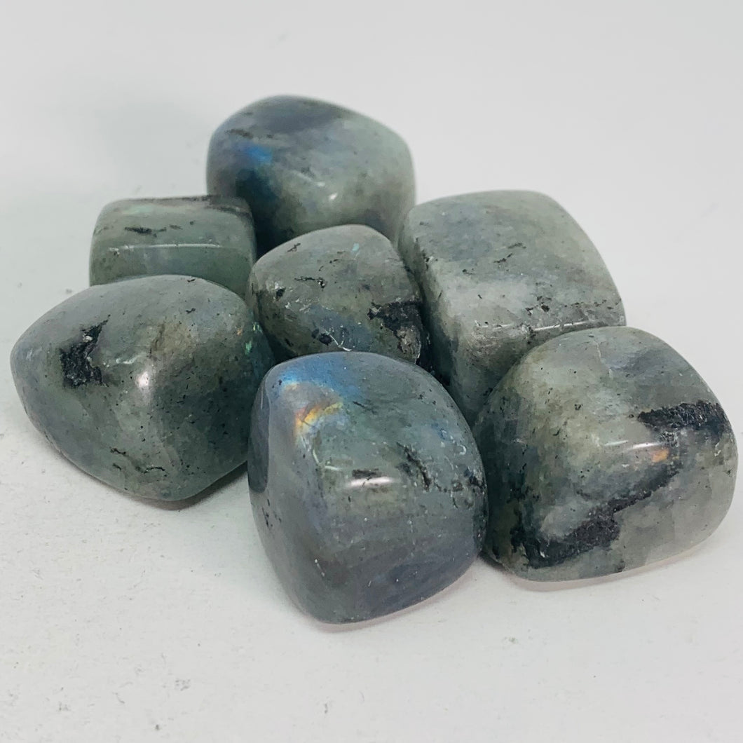 Labradorite Large/Square - Tumbled