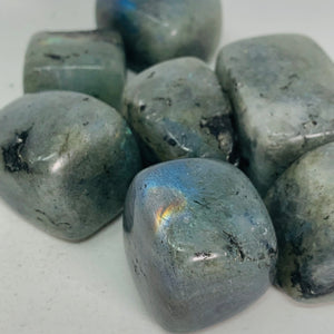 Labradorite Large/Square - Tumbled
