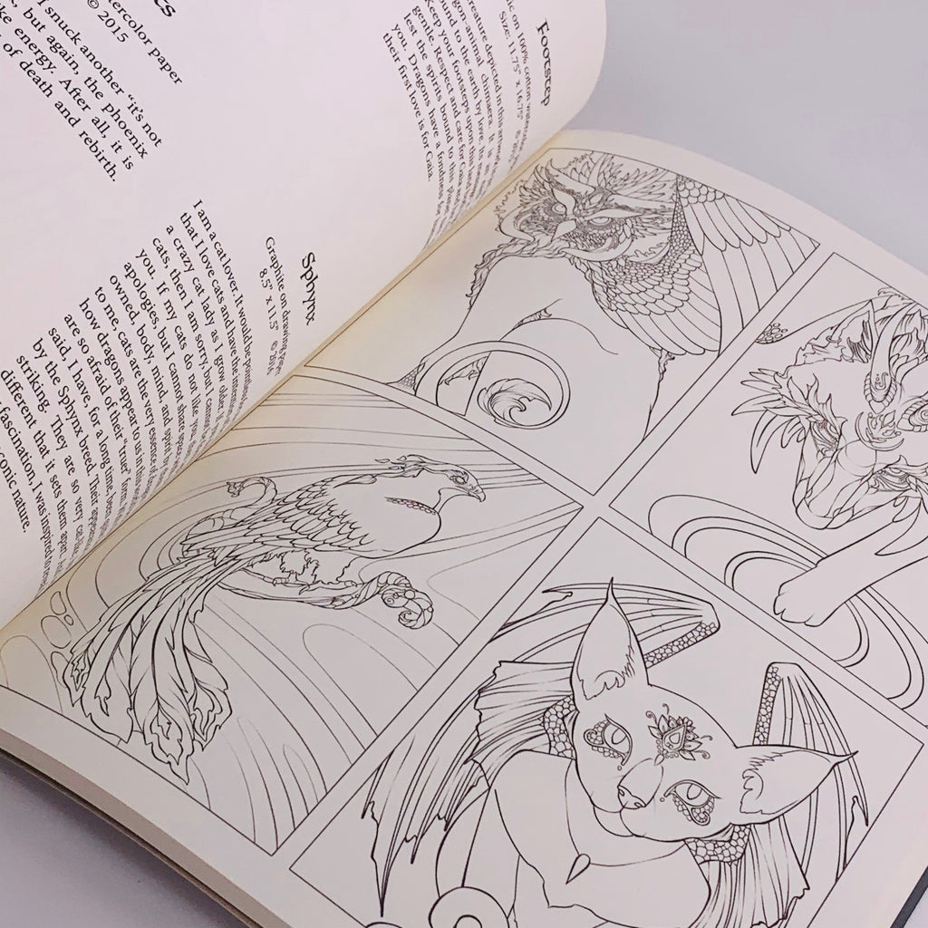 Dreams of Dragons & Dragon Kin Colouring Book