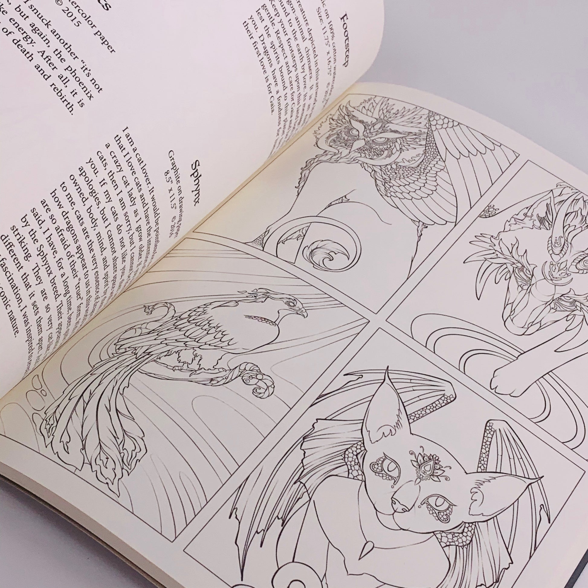 Dreams of Dragons & Dragon Kin Colouring Book
