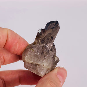 Smoky Quartz Cluster/Points (3 Sizes)