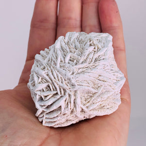 Desert Rose (med/large)