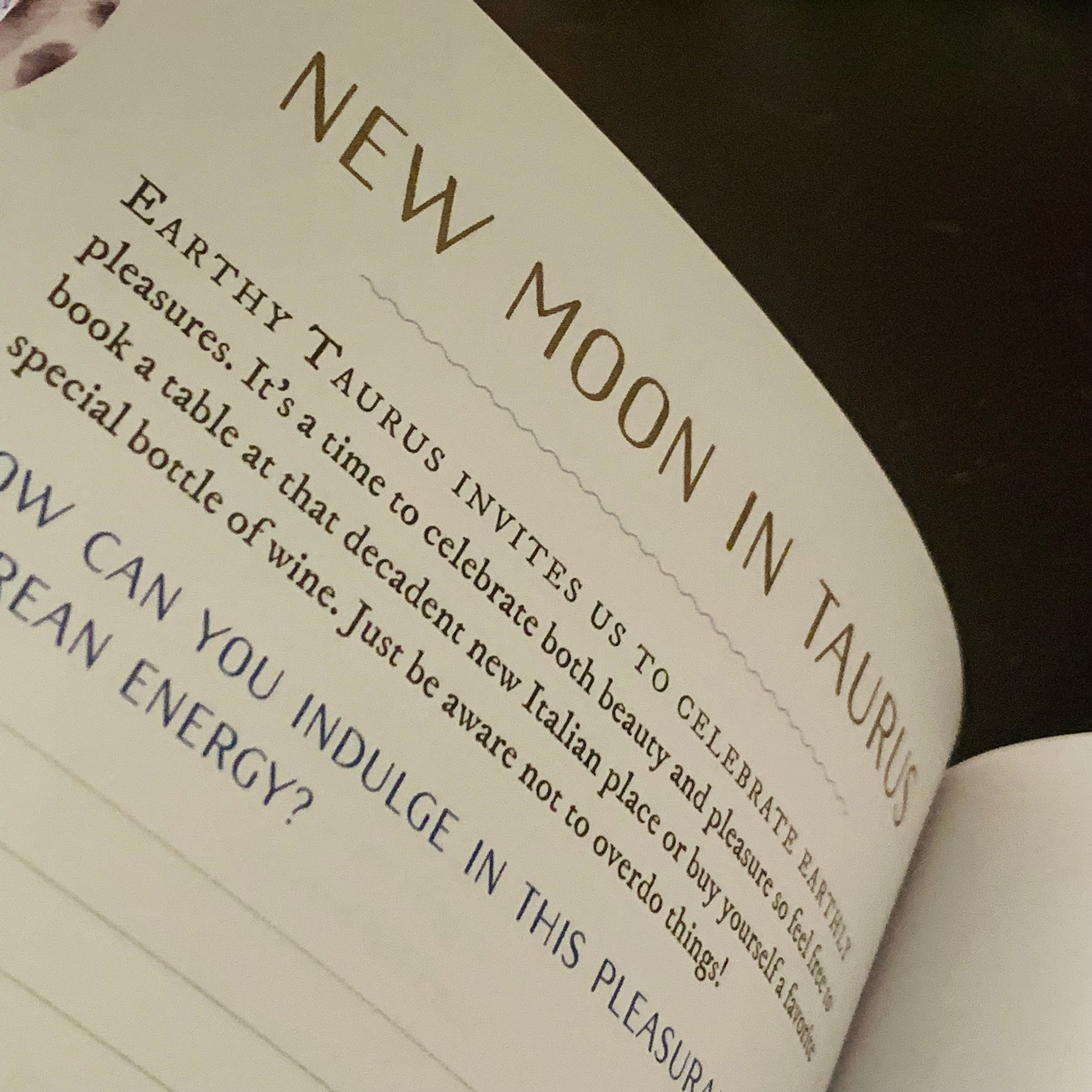 The Mindful Witch - Daily Journal for Manifesting