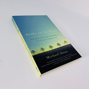 Awake in the World by Michael Stone