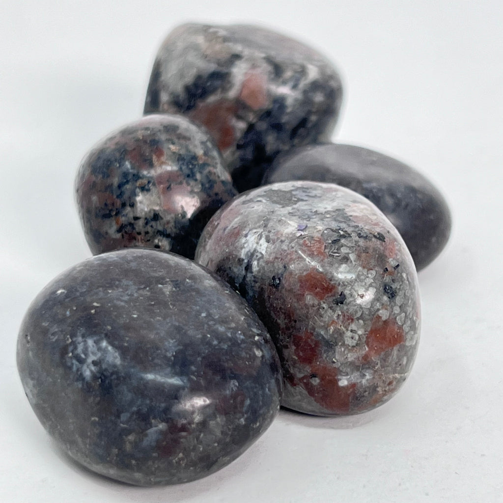 Yooperite - Tumbled (Ontario)