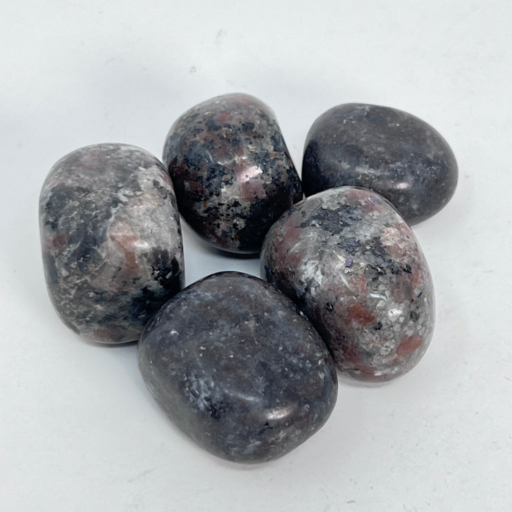 Yooperite - Tumbled (Ontario)