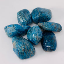Load image into Gallery viewer, Apatite - Tumbled (Large)
