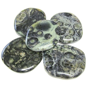 Kambaba Jasper Earth Stone