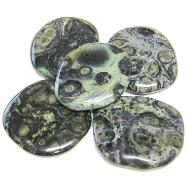 Kambaba Jasper Earth Stone