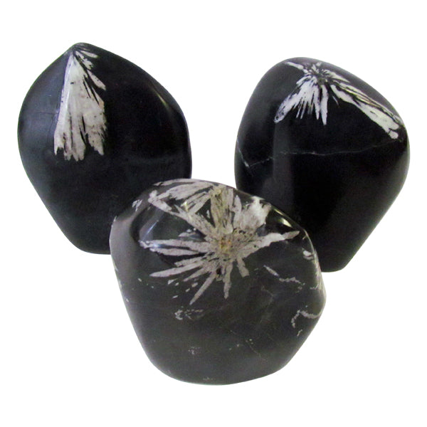 Chrysanthemum Stone