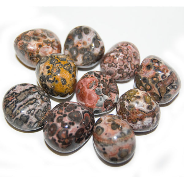 Leopardskin Jasper - Tumbled