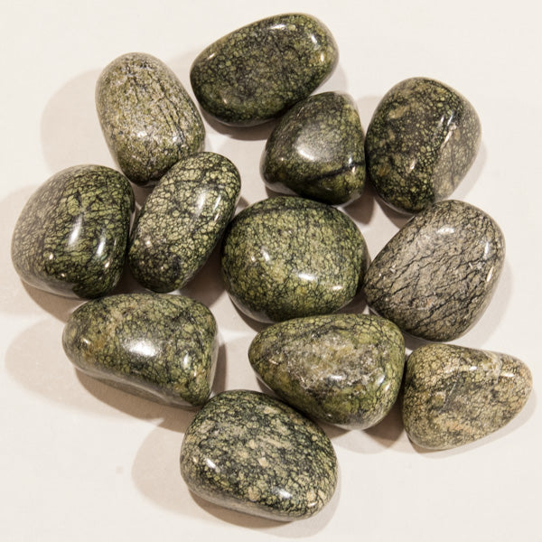 Snakeskin Jasper - Tumbled